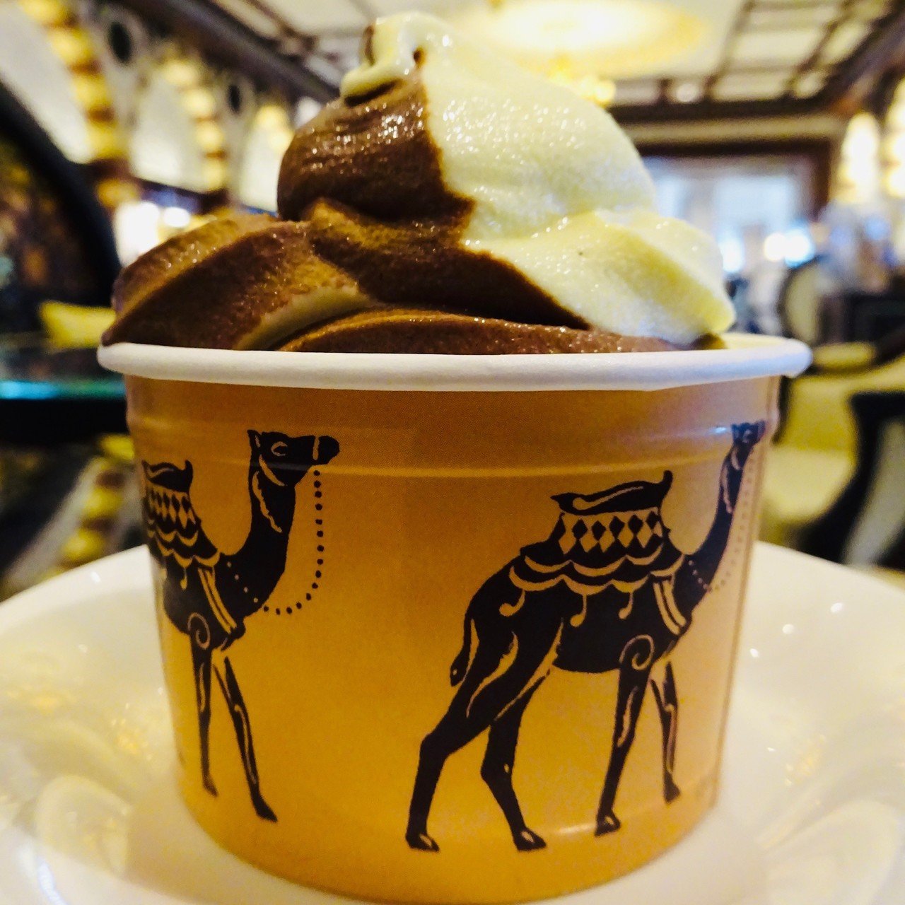 アラブ首長国連邦】ドバイのソフトクリームガイド｜プロソフト