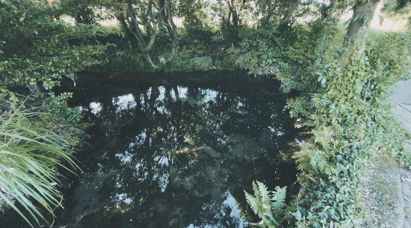 水の国熊本 水源をめぐる 池の川水源 小池水源 吉田城御献上汲場 Village Life In Japan 阿蘇in熊本 Note