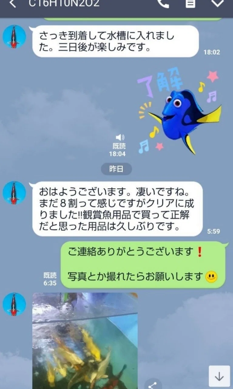 ヴァルナ｜iketeru_1130