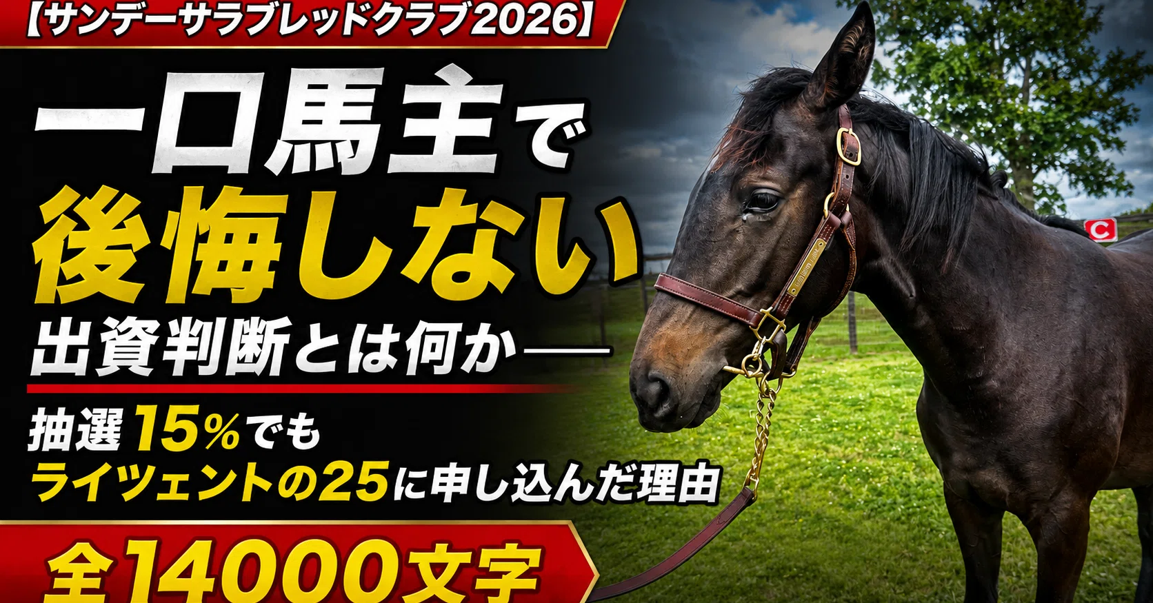 社台サンデー2026 最終結論 第1希望を変更し、なぜこの馬を選んだのか