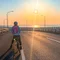 Itamin Road Bike Lab | ロードバイク研究所