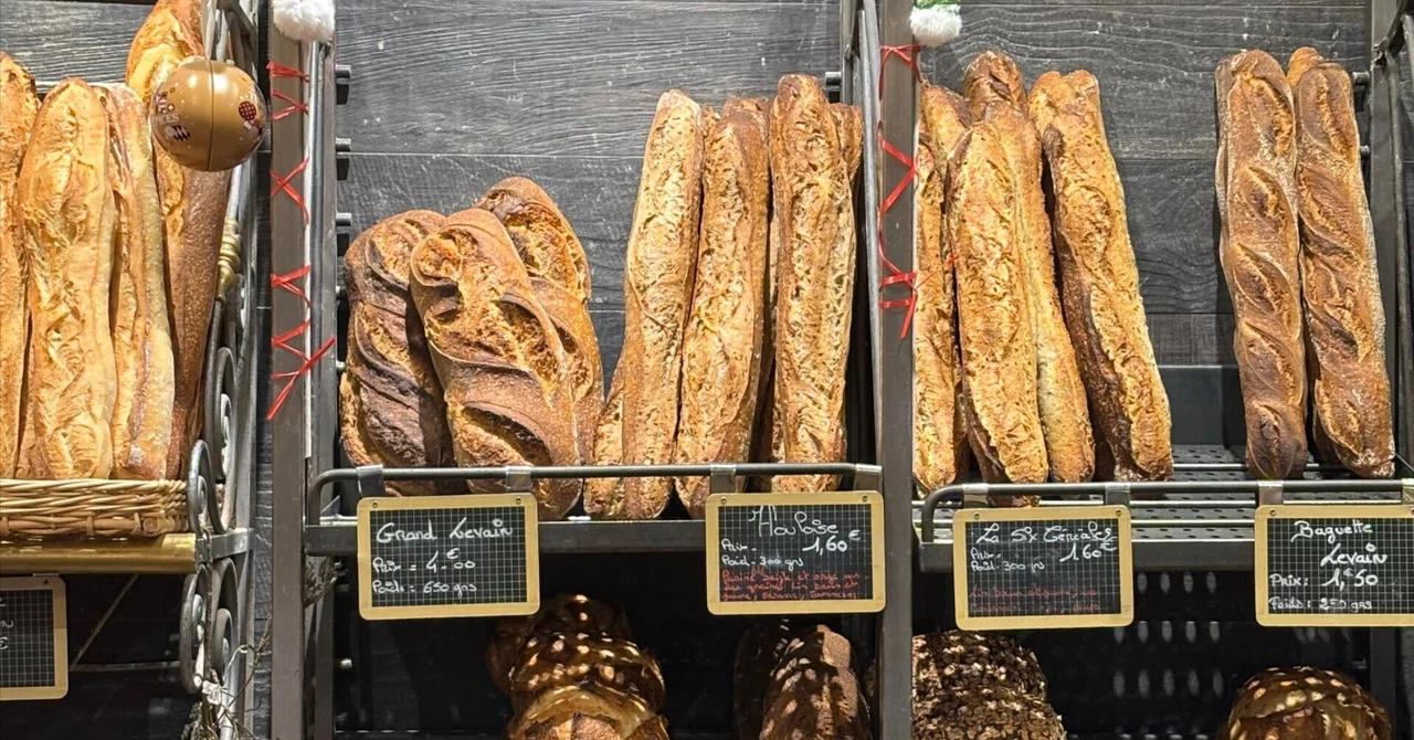 これはフランスパンではありません｜Midori 世界をつなぐ、旅する