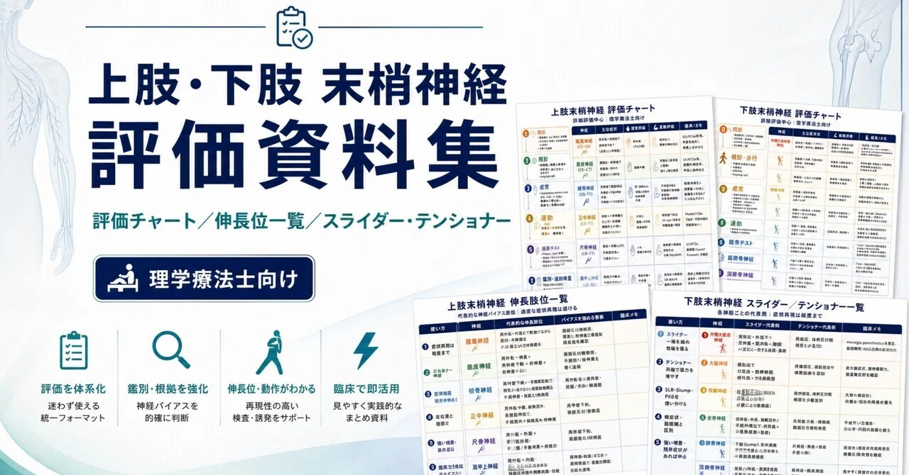 PT向け】末梢神経の評価、パッと確認できる早見表を作りました｜kyanto