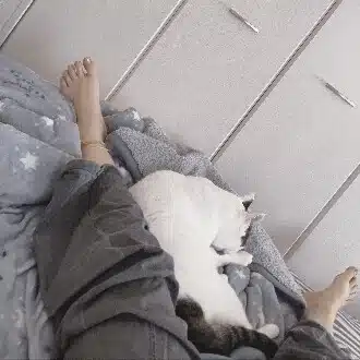 スイ