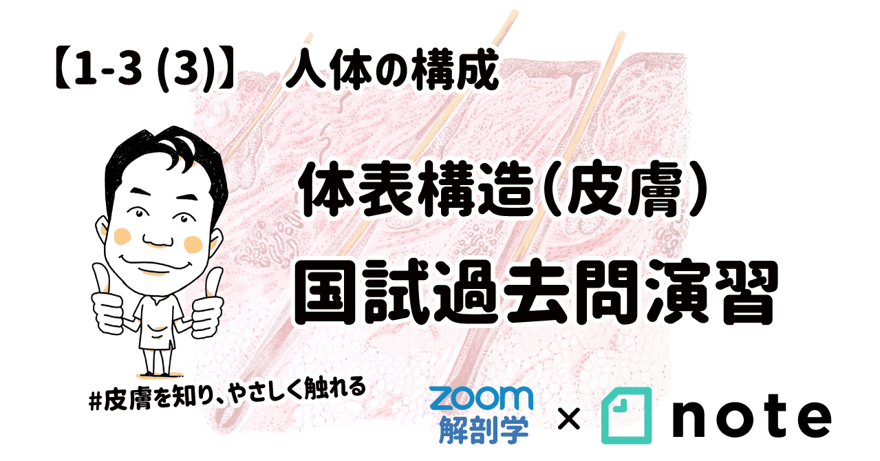 1 3 3 人体の構成 体表構造 皮膚 国試過去問演習 黒澤一弘 Note