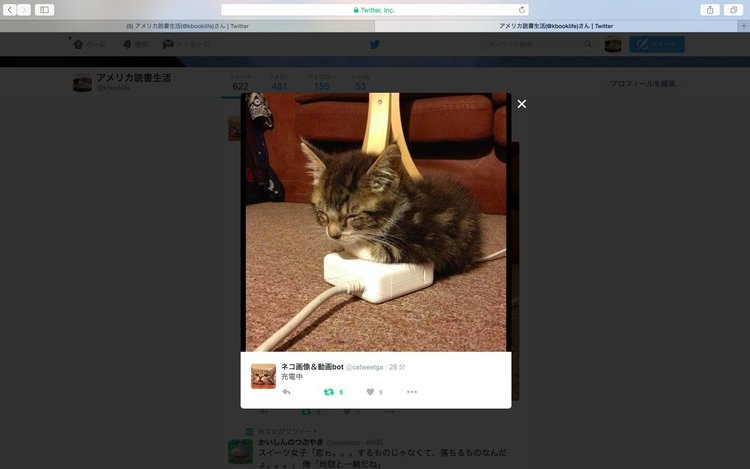 元気が出る写真集１ 猫 Glocal Life Note