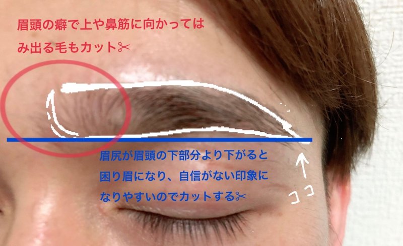 ヲタクも眉毛を整えよう Y Note