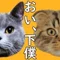 コピ𓏲𓎨