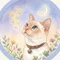 ソラソラ☆｜ライター・星読みナビゲーター
