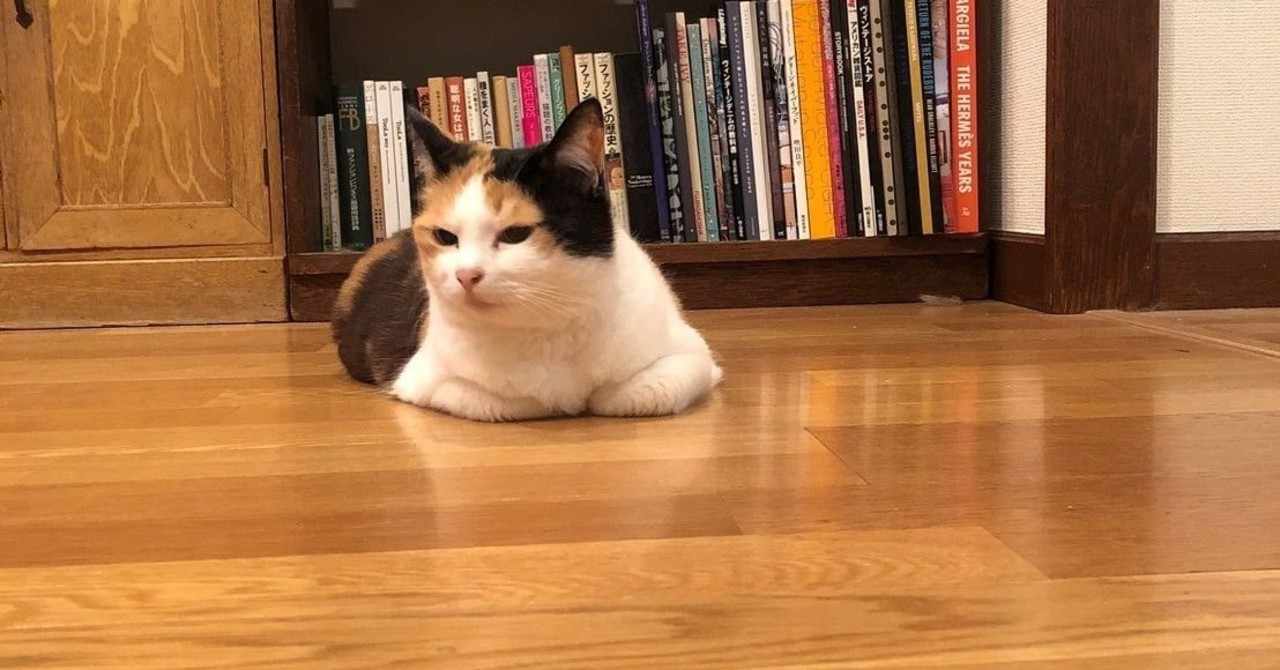 みけねこ の新着タグ記事一覧 Note つくる つながる とどける