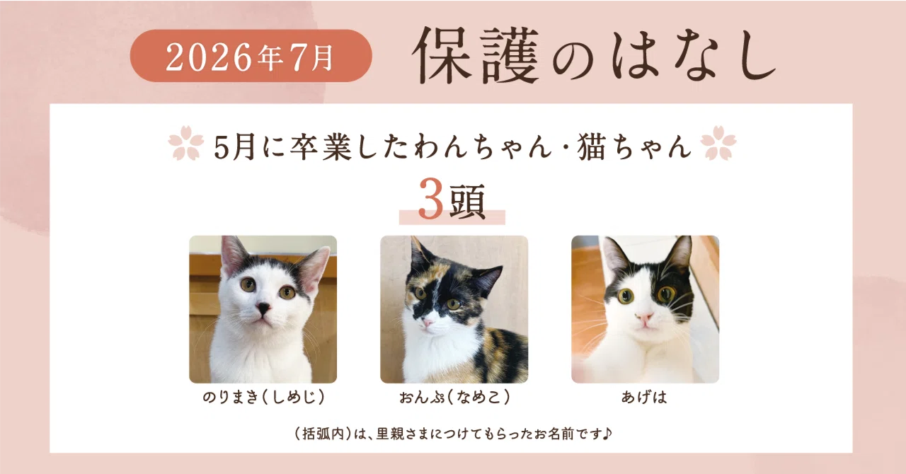 2026年7月】殺処分ゼロを目指す活動レポート｜犬猫生活株式会社