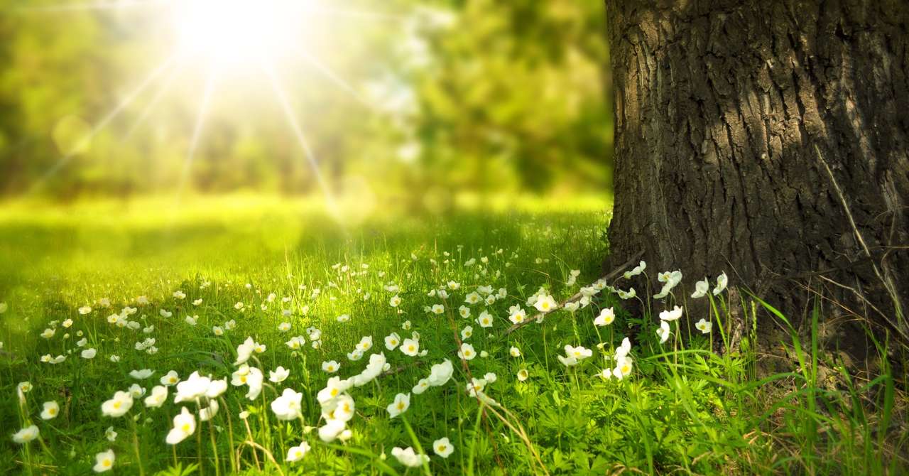 大丈夫 なんとかなるから ポジティブ防具 ゴンさん Bfc Note