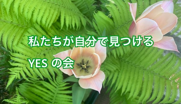 マスタープラン