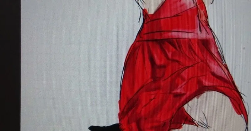 イラスト服の立体感や塗り方 えむえむ Note