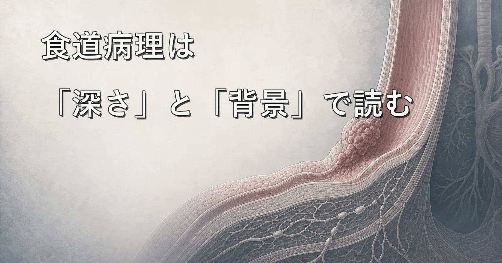 38♥♥♥♥食道腫瘍の臨床病理♥♥♥♥ 食道腫瘍の読み方：「深さ」で読む異形成から癌まで｜劇薬病理医