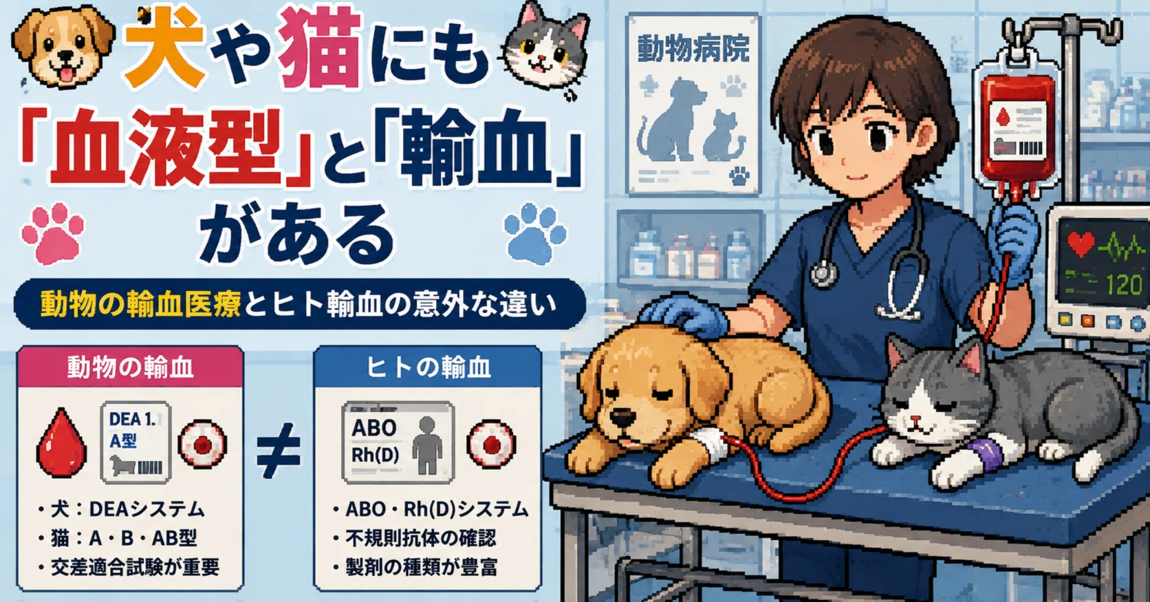 犬や猫にも「血液型」と「輸血」がある― 動物の輸血医療とヒト輸血の
