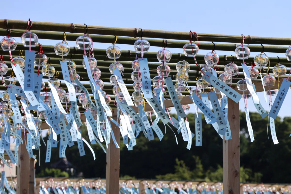 不忍池の蓮の様子（7月8日撮影）｜上野案内所