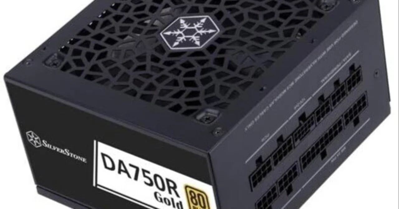 SilverStone SST-DA750R-GMA レビュー｜サイズと配線で見るATX電源の