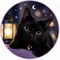 看板黒猫ミミ🐈⬛🐈⬛🐈⬛黒猫日記🐈⬛🐈⬛🐈⬛🐈⬛