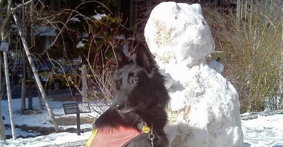 雪だるま ゆんみ Note