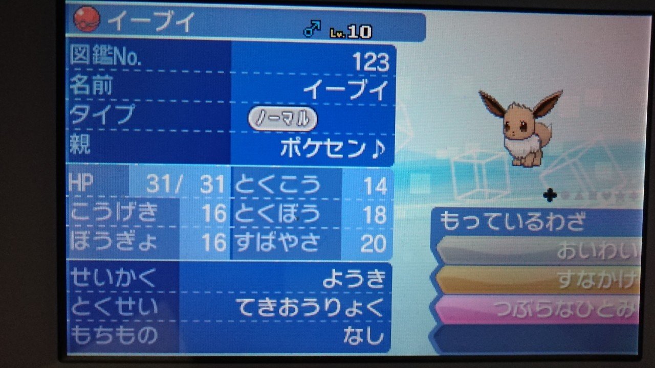 ポケモンsm 配布限定ポケモンメモ 誕生日イーブイ がみ Note