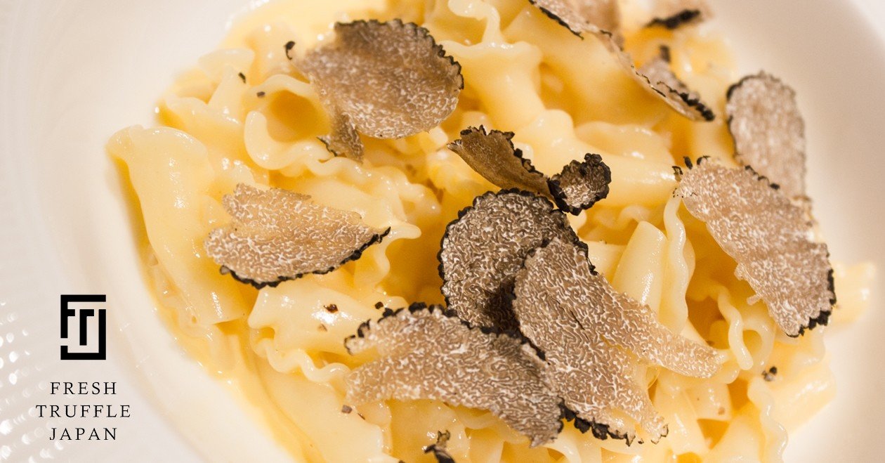 205fc01349db1ad3a7775dc0225fb4