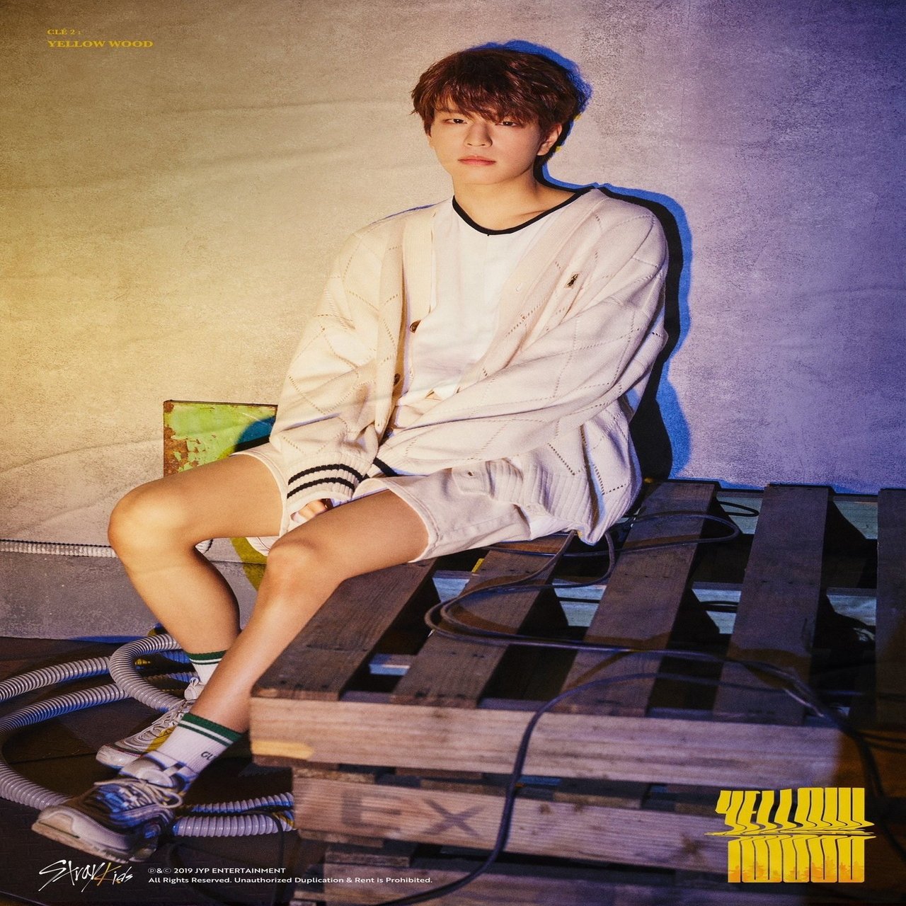 Stray Kids に出会ってから毎日楽しいので紹介させてください〜④続々