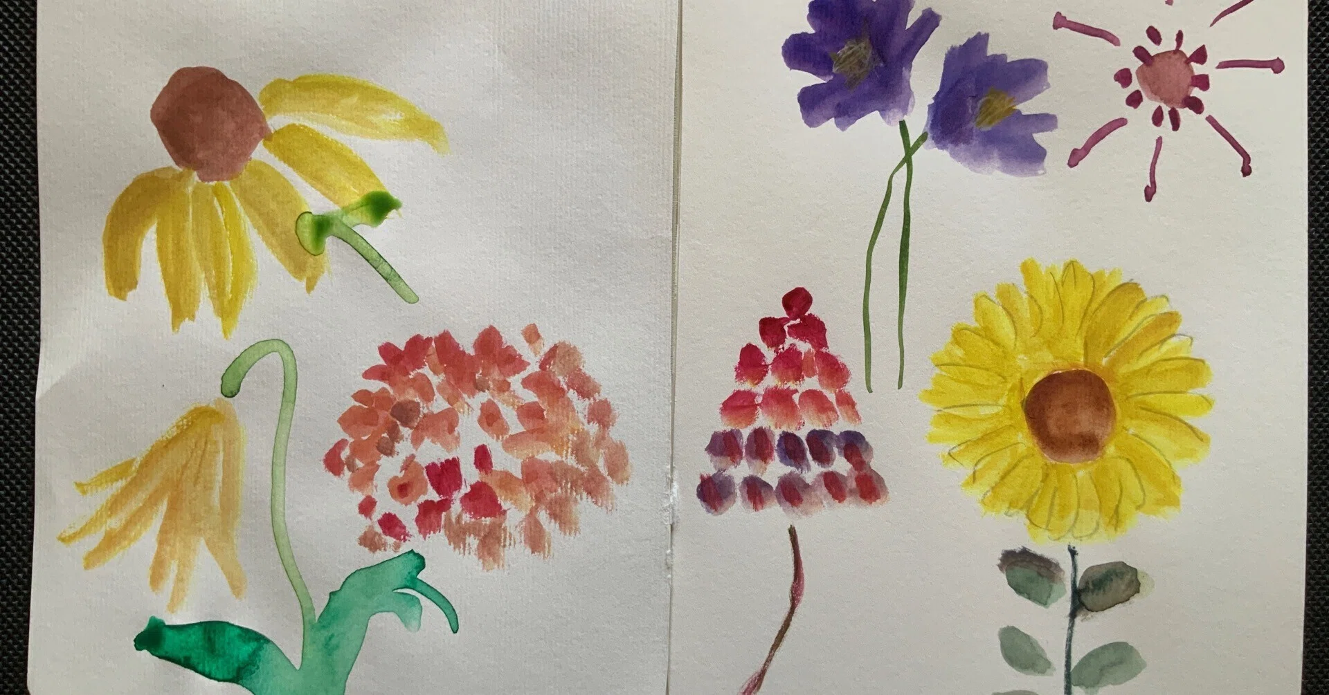透明水彩で怖がらないで花を描く｜なお