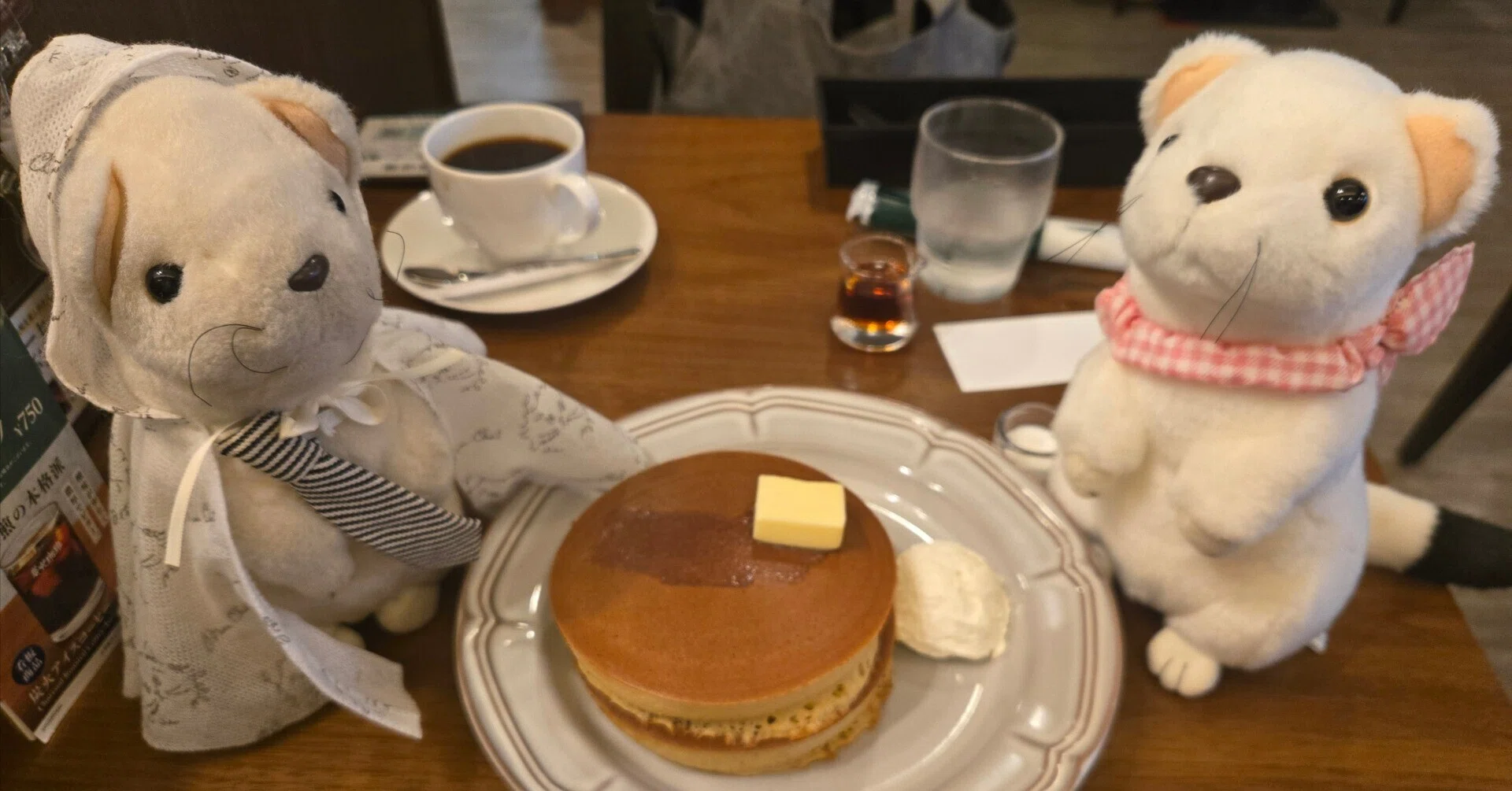 もう一人のお手紙友達｜たけりん