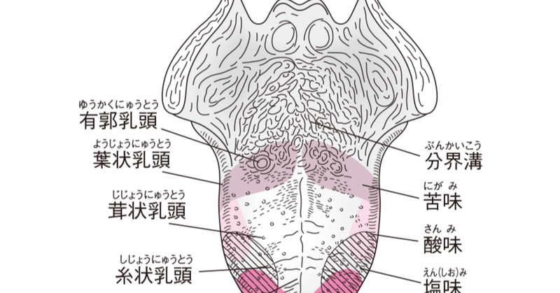 食の無形文化遺産と味覚 宮城島大樹 日本で最もトレーナーを育成してるトレーナー Note