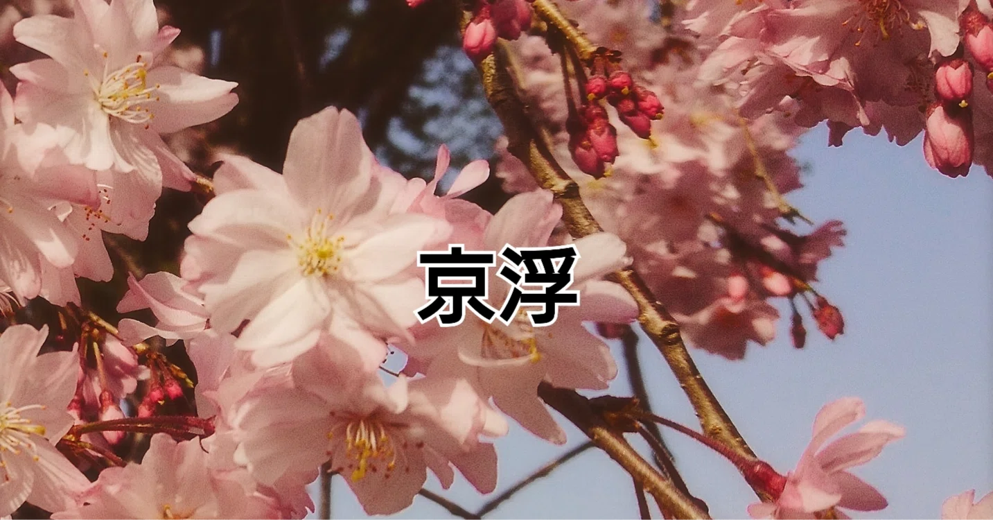 💀0446字🩷御祝💚サラッと自家通販2ヵ所を上がったテンションで開け