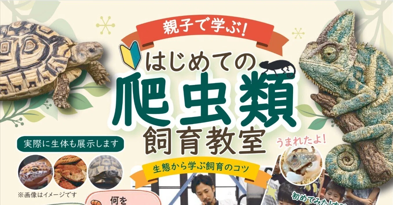 7月26日】はじめての爬虫類教室開催｜藤井 匠也（ZOO TIME園長）/ 動物