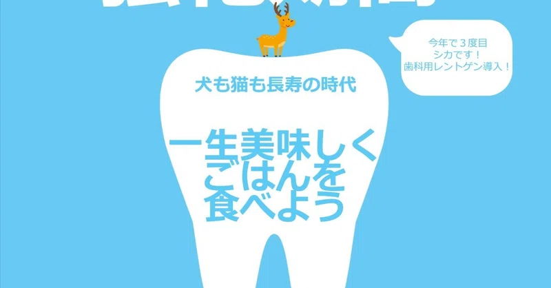 夏は毎年恒例、歯科月間です🦌