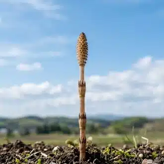 hell_home／詩