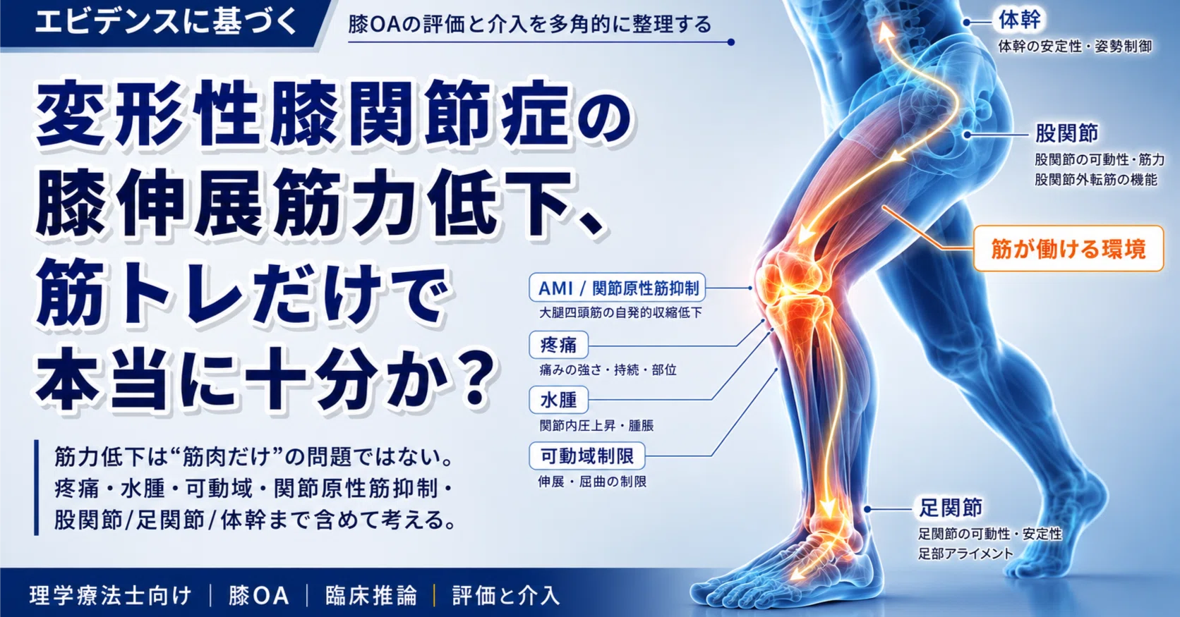 変形性膝関節症・股関節痛・むくみ　ダブルモーションテクニック〈下肢編〉 変形性膝関節症の膝伸展筋力低下、「筋トレ」だけで本当に足りているか