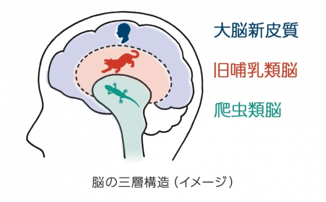 能力を発揮し成果を出すための構造と方法 榎本 知史 人間性探求 Note