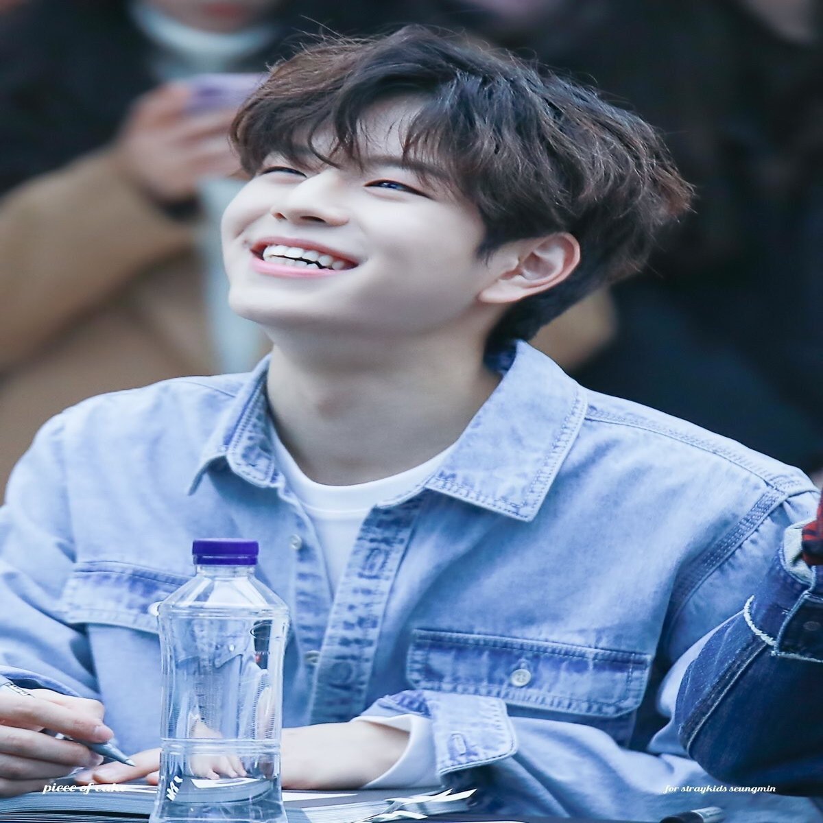 Stray kids スンミン アイエン