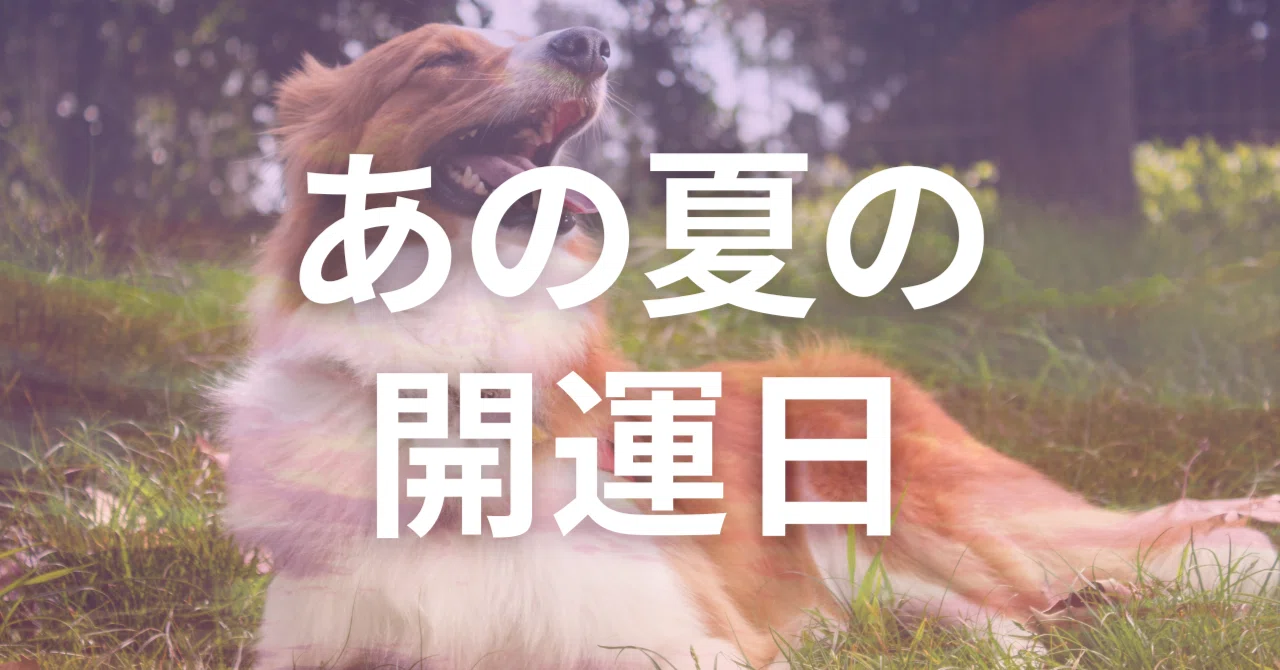 見出し画像