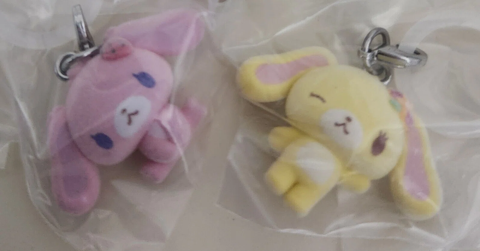 シュガーバニーズに出会えた日🐰｜ひまろ・e・