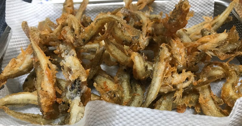 本日大漁 多摩川のハゼ釣り Naoko Nomigawa Note