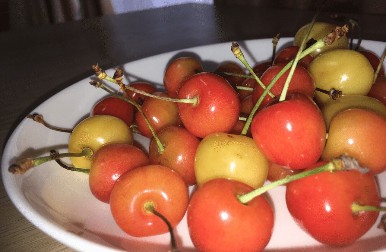 さくらんぼのうた 笑う花には福きたる Note