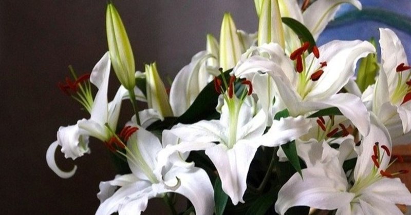 映画ガイドとしての出来映えは 百合映画 完全ガイドを購入してみました の話 Kthn Note