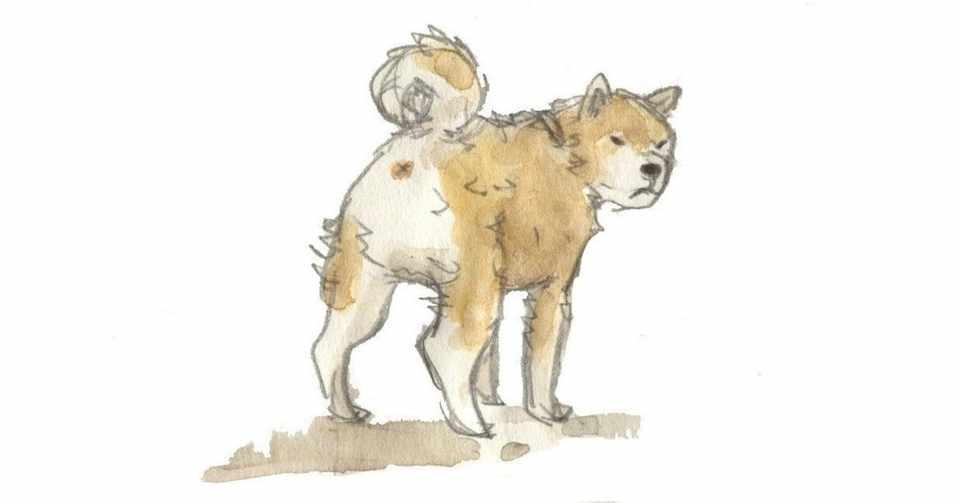 ありがた犬と 犬おじさん ファビアン ショートショート Note