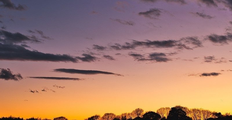 本せどりの仕入れ基準とamazonの手数料の計算方法 まもる 本せどり 雑誌 単行本 セット本せどり note