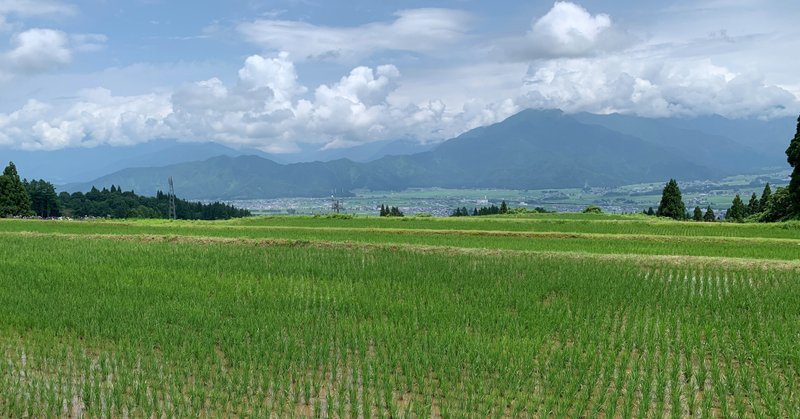 新潟でのある週末　〜田んぼ仕事〜