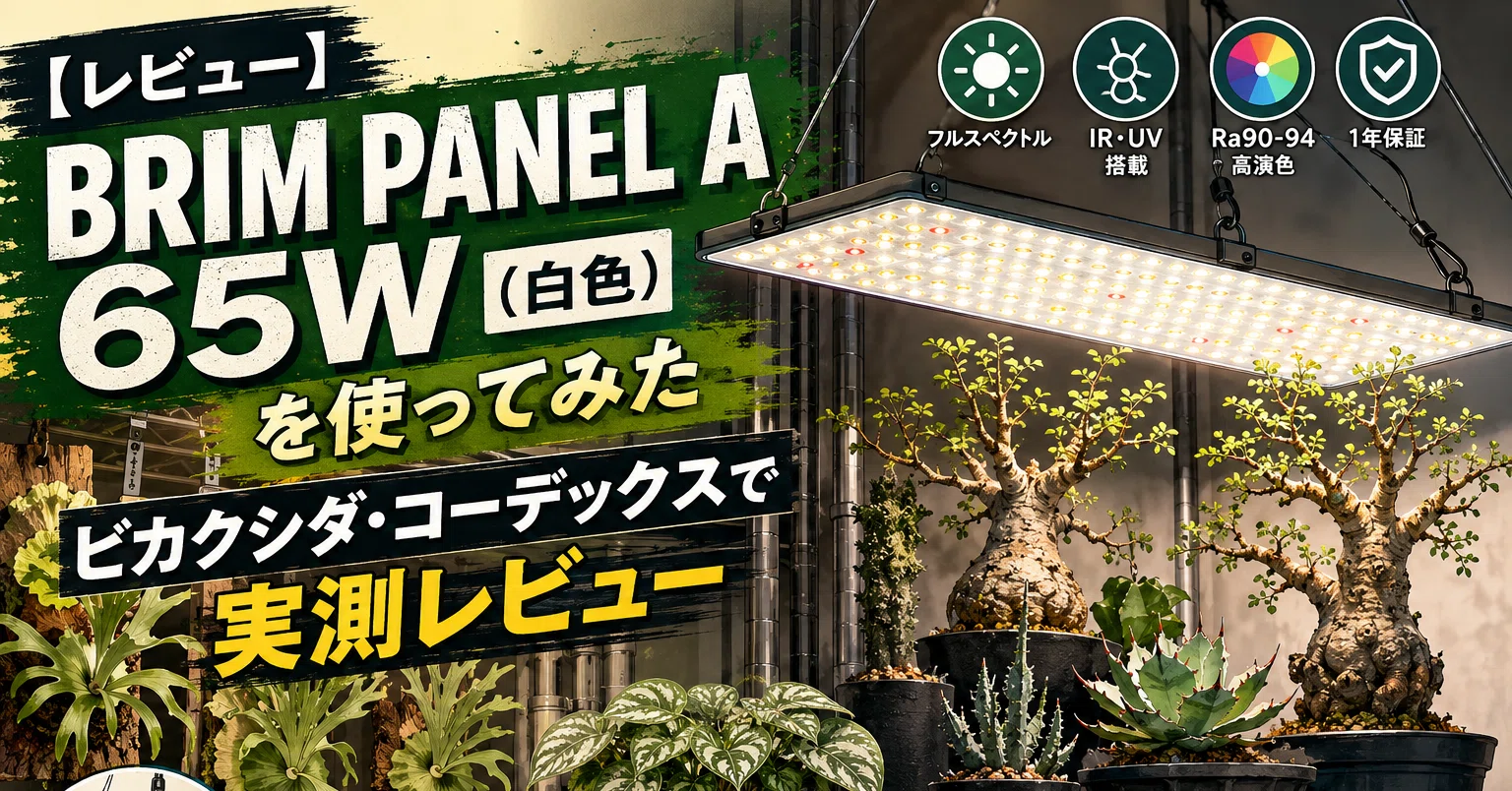 レビュー】BRIM PANEL A 65W（白色）を使ってみた ビカクシダ 