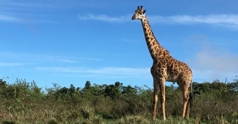 麒麟 と キリン の関係について調べてみた ペンギン短大秘書室長 フリーランスの日記や雑記 Note