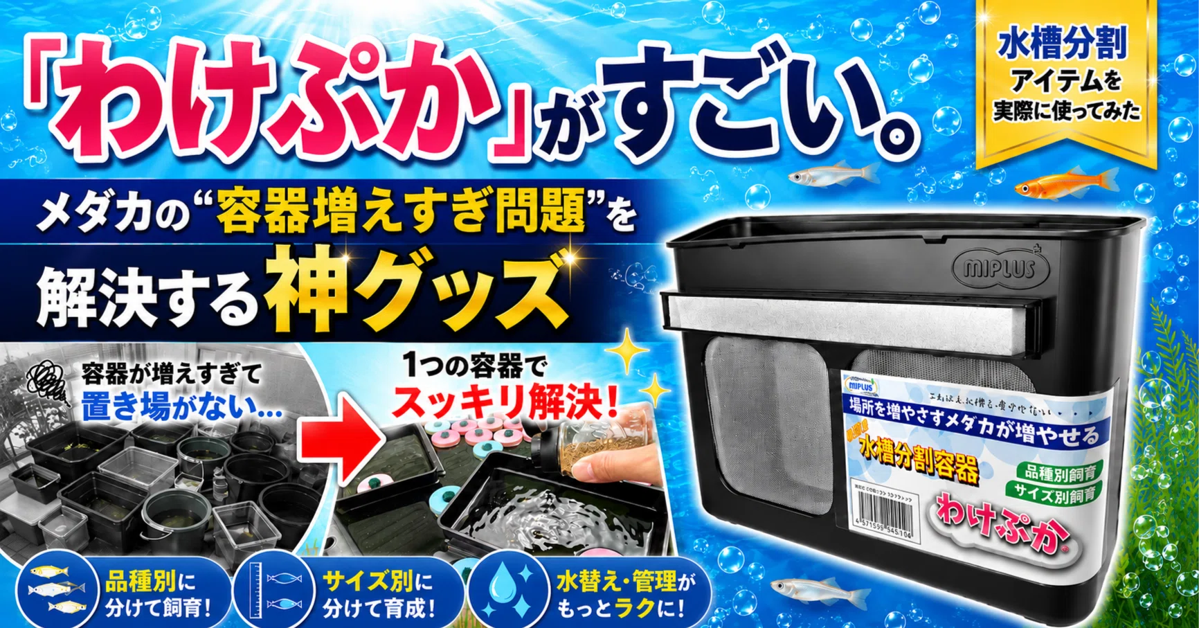 わけぷか」がすごい。メダカの“容器増えすぎ問題”を解決する神グッズ