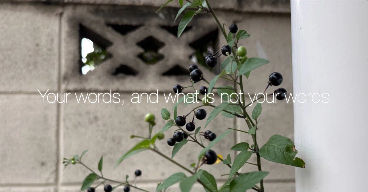 Do you really need that adjective?｜シロイ