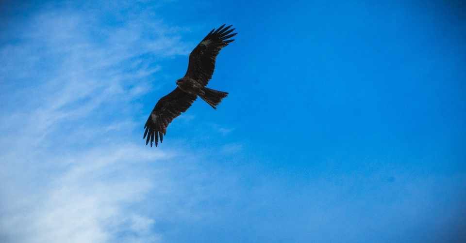 名言との対話 6月28日 海部八郎 商売なんて簡単やで お客さんが喜ぶことだけすればええんやから 久恒 啓一 Note